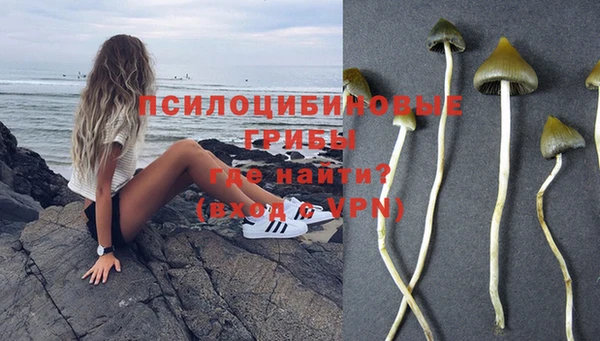 гашик Балахна