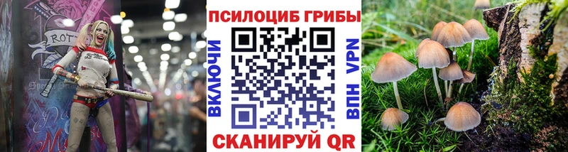 Галлюциногенные грибы MAGIC MUSHROOMS Горно-Алтайск